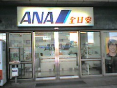 子犬空輸200361029jpg