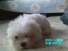 R0011520blog.jpg