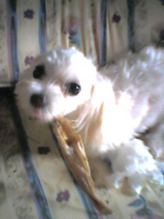 050914_1003~001.jpg