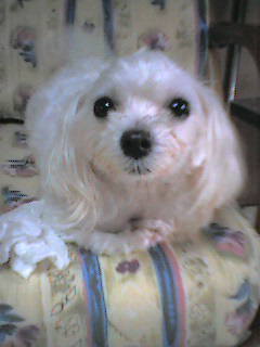 050914_1006~002.jpg