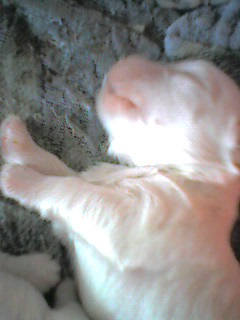 050916_1348~001.jpg