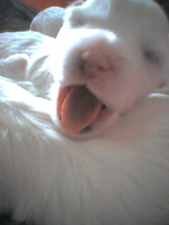 050920_1007~001.jpg