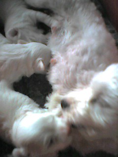 050921_1011~001.jpg