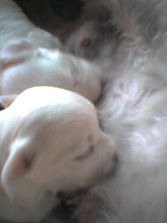 050921_1012~001.jpg