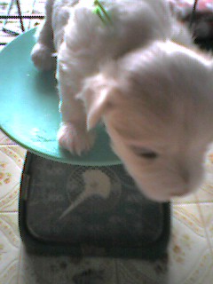 050928_1011~002.jpg