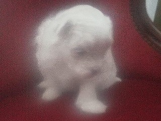 F1000037.jpg